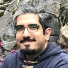 حامد